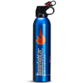 Jnm600 Car Portable ABC Dry Powder Wholesale Fire Extinguisher